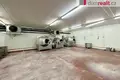 Commercial property 22 351 m² in Pravetin, Czech Republic