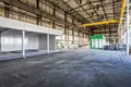 Tienda 2 030 m² en Rogozno, Polonia