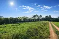Parcelas 5 750 m² Nea Potidea, Grecia