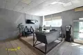 Коммерческое помещение 248 м² Минск, Беларусь