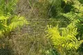 Parcelas 320 942 m² Opcina Krnjak, Croacia