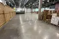 Warehouse 1 room 660 m² in Chaciezyna, Belarus