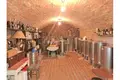 Dom 8 pokojów 600 m² Plesivica, Chorwacja
