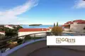 9 room house  Opcina Dezanovac, Croatia