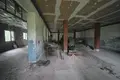 House 10 rooms 500 m² in Brzesce, Poland