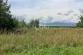 Land 2 000 m² Gorodetsky District, Russia