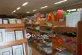 Gewerbefläche 2 300 m² Bekessamson, Ungarn