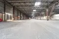 Склад 10 комнат 290 м² в Радошковичском сельском Совете, Беларусь
