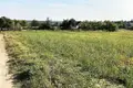 Land 1 272 m² Potrzanowo, Poland