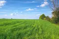 Działki 4 000 m² Kassandrino, Grecja