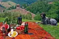 Investition 1 067 m² Greve in Chianti, Italien