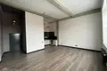 Wohnung 1 zimmer 45 m² in Riga, Lettland