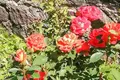 Дом 66 м² Колодищанский сельский Совет, Беларусь
