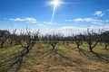 Parcelas 5 400 m² Nea Plagia, Grecia