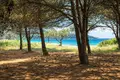 Atterrir 25 687 m² Megali Panagia, Grèce