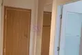 1 room apartment 49 m², Montenegro