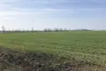 Коммерческое помещение  Лиманка, Украина