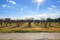 Atterrir 5 400 m² Nea Triglia, Grèce