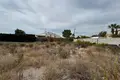 Commercial property  in Dehesa de Campoamor, Spain
