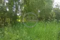 Land  Nikonovskoye, Russia