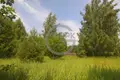 Land  Nikonovskoye, Russia