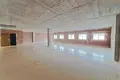 Büro 169 m² Elx Elche, Spanien