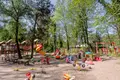 Дом 2 комнаты 990 м² в Sokolniki, Польша
