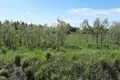 Działki 270 000 m² Kstovo, Rosja