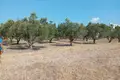 Land 1 room  Nea Kallikrateia, Greece
