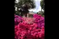 Villa de 5 habitaciones 400 m² Stresa, Italia