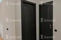 2 bedroom apartment 60 m² Yerevan, Armenia