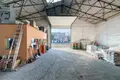 Dom 358 m² Nekla, Polska