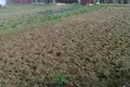 Land  Piatryskauski sielski Saviet, Belarus