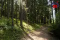 Dom wolnostojący 734 m² Svabski sielski Saviet, Białoruś
