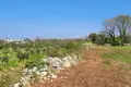 Land  Vodnjan, Croatia