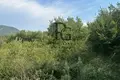 Atterrir  Lastva Grbaljska, Monténégro