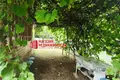Dom 17 m² Kapciouski sielski Saviet, Białoruś
