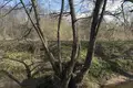 Land  Dziamidavicki sielski Saviet, Belarus