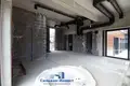 Cottage 438 m² Minsk, Belarus