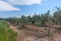 Grundstück 2 800 m² Nea Flogita, Griechenland