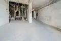 Apartment 5 000 m² Bialosliwie, Poland