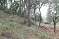 Działki 1 pokój  Ano Korakiana, Grecja