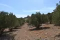 Land 1 room  Municipality of Agios Nikolaos, Greece