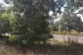 Коммерческое помещение  Таирово, Украина