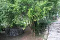 Вилла 4 спальни 150 м² Доброта, Черногория