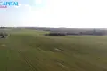 Земельные участки  Spokiskis, Литва