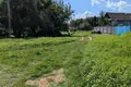 Grundstück  Novy Dvor, Belarus
