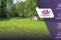 Land  Aliachnovicki sielski Saviet, Belarus