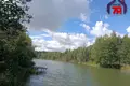 Дом 58 м² Лебедевский сельский Совет, Беларусь