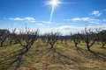 Atterrir 5 400 m² Nea Triglia, Grèce